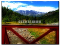 Gmail ponte