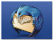 Upload_#4_Thunderbird_2.0.0.14