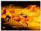 La storia grafica di Firefox: ecco cosa è cambiato dalla versione 1.0 alla 3.0