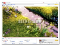 2009-01-29_070613