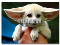 2009-02-02_134053
