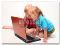 Bambini su YouTube