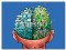 Brain