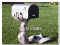 Mailbox