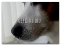 Il primo video di YouTube in 1080p (HD)