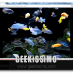 2010-03-19_090947