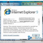 Internet Explorer 9