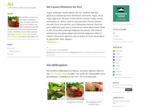 08Ari-WordPress-Theme