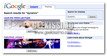 iGoogle: arriva la funzione ricerca anche per i temi