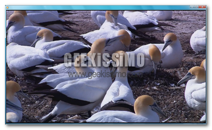 windows-7_rc_7100_video_hd