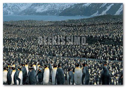utenti linux utenti linux