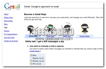 Sei un vero Gmail Ninja? Scoprilo con questo Test