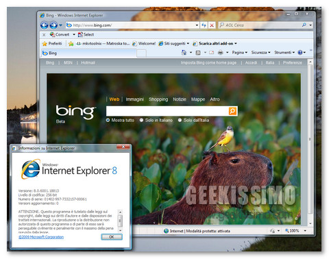 ie8