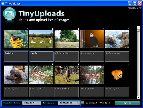 TinyUploads 3