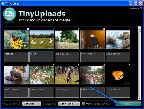 TinyUploads 4