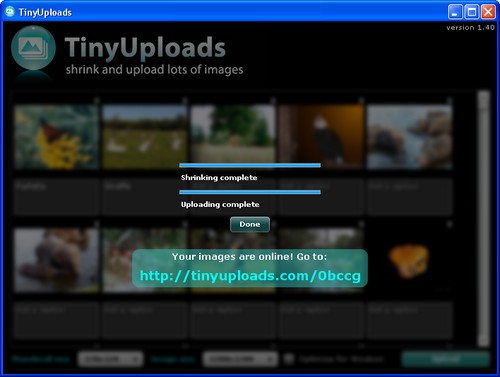 TinyUploads 6