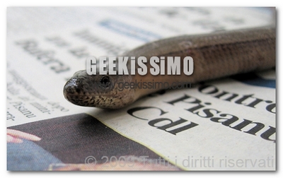 watermark_geekissimo