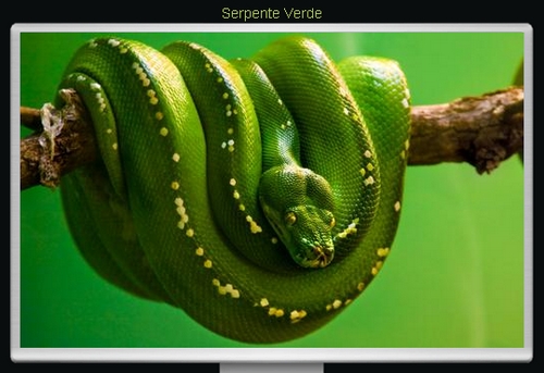 serpente