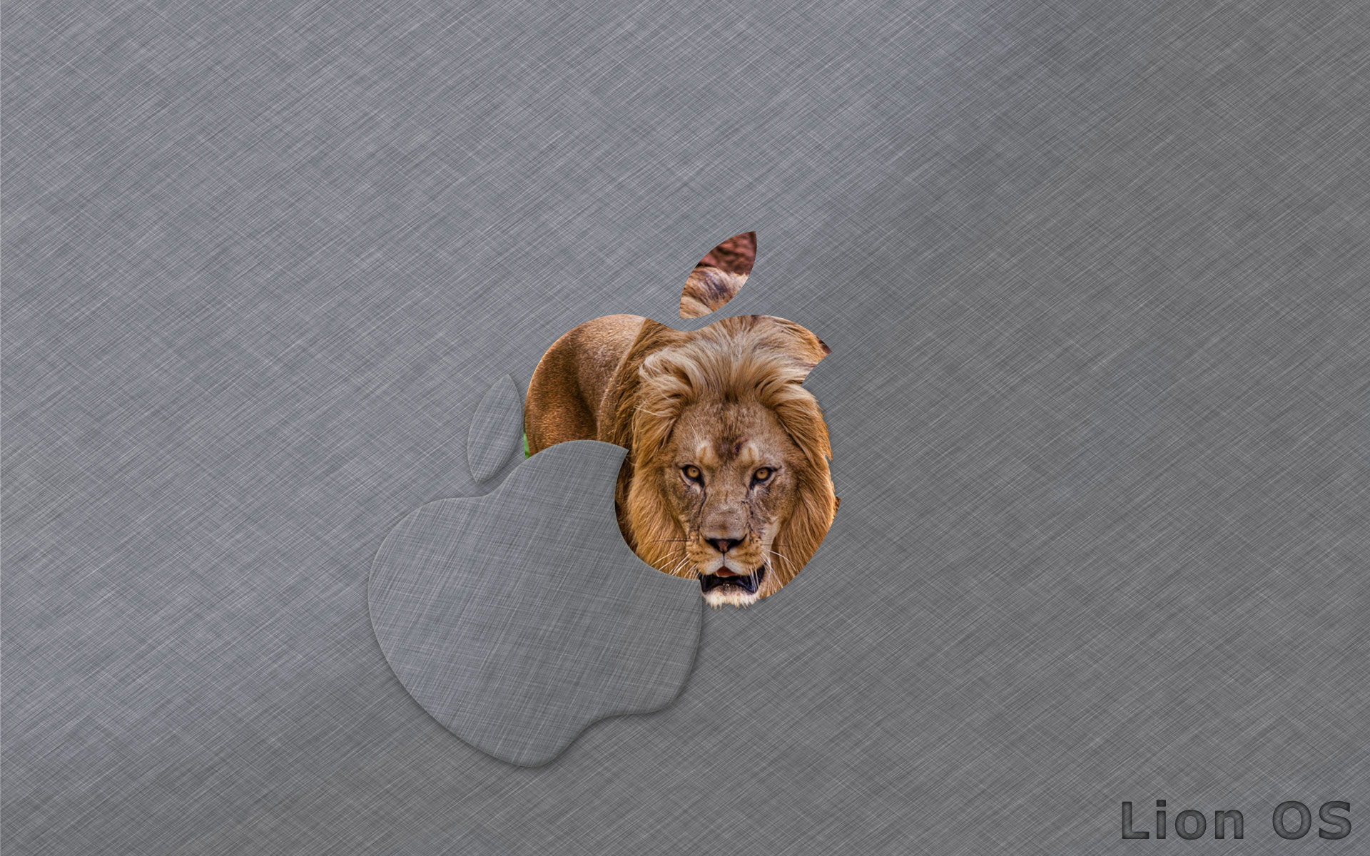 kindle for mac os lion kindle for mac os lion
