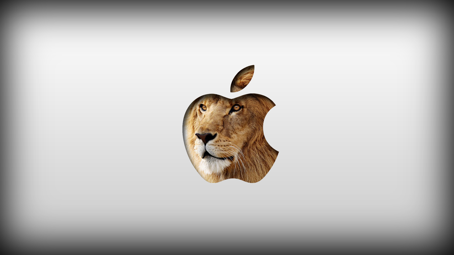 hackintosh lion hackintosh lion