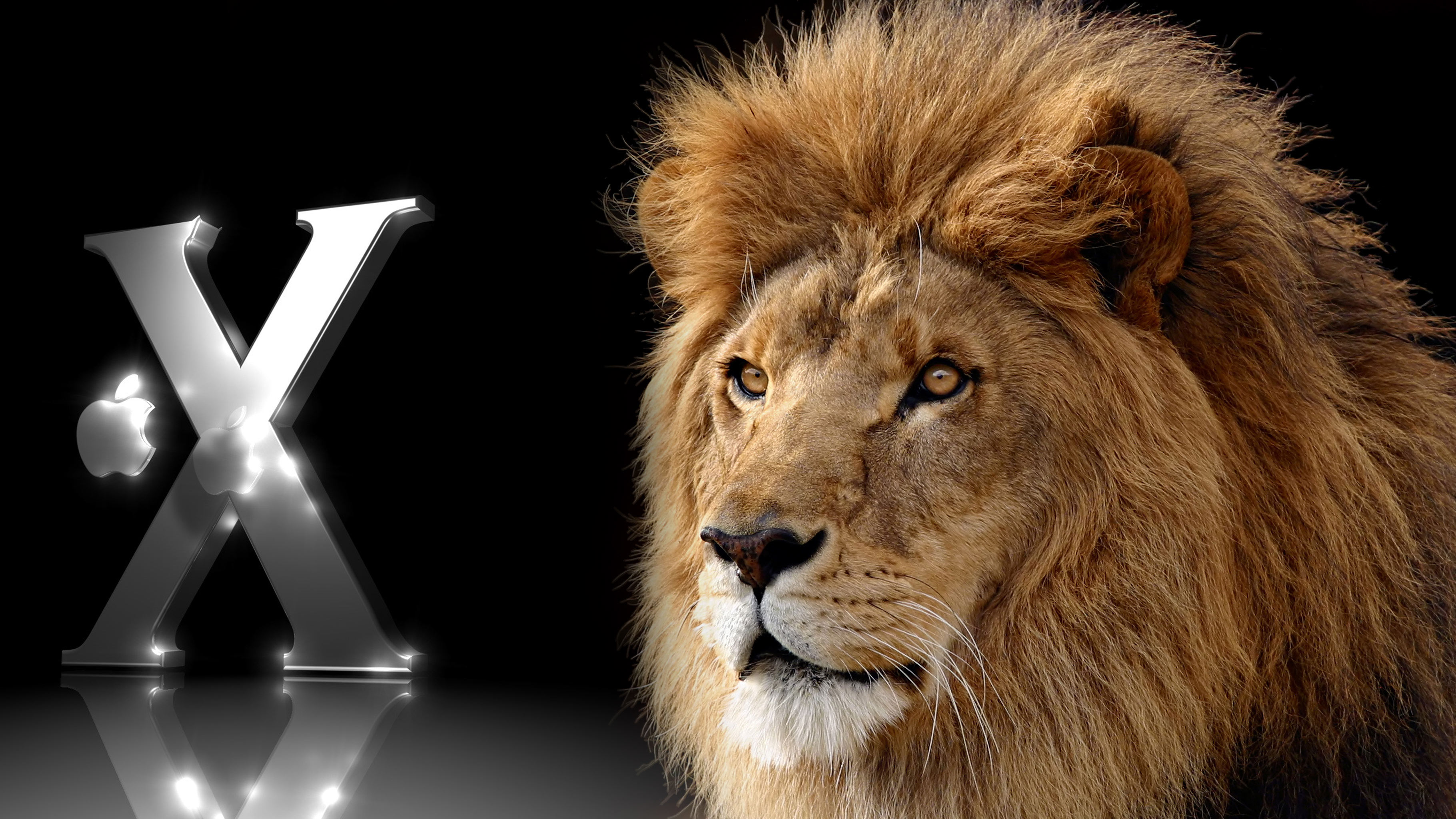 about os x lion about os x lion