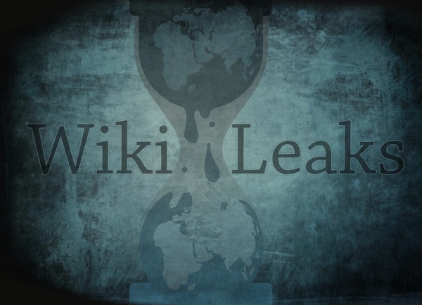 Wikileaks vittoria Visa Mastercard 