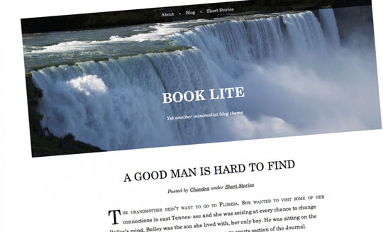 21.best-free-responsive-wordpress-themes-2012