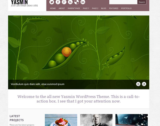 25.best-free-responsive-wordpress-themes-2012