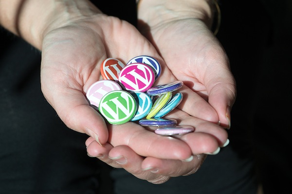 wordpress attacco brute force 