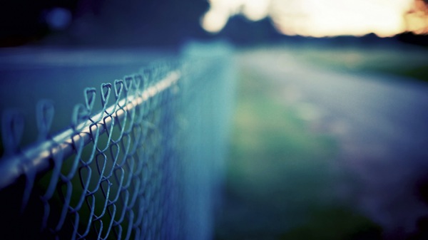 3c8aec892ee52fce33fd03f3373348ec