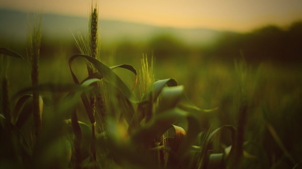 4ac597dda144ad3466bae627d0a20cf430ad856b