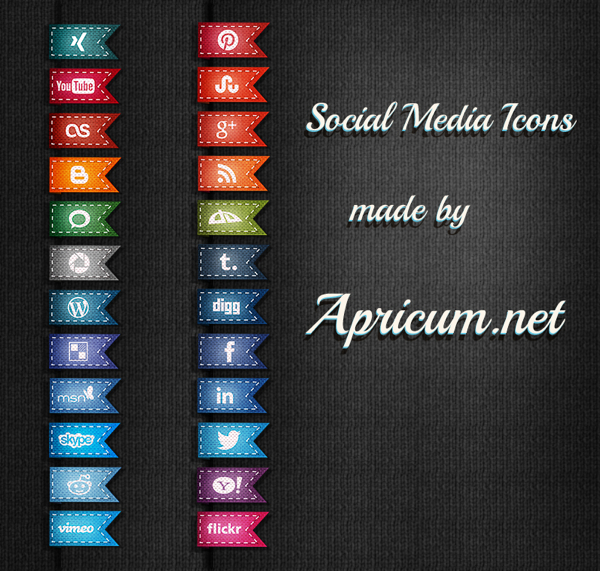 Apricum Social Media Icons