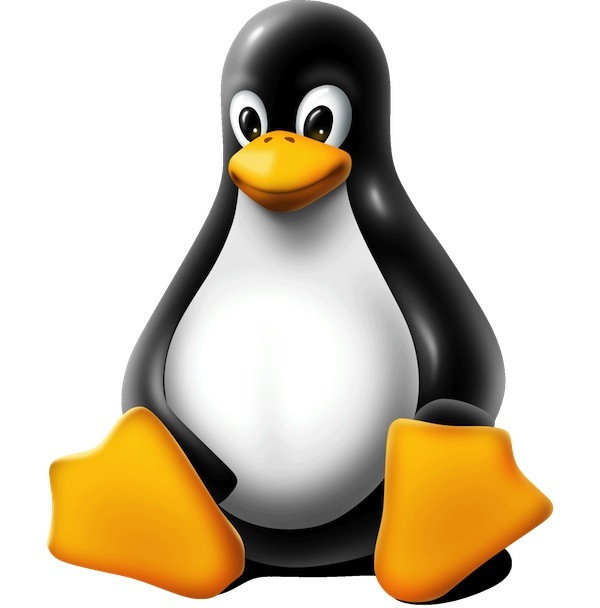 Kernel Linux 2013