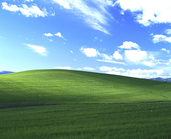Windows XP, la storia della foto utilizzata come sfondo di default