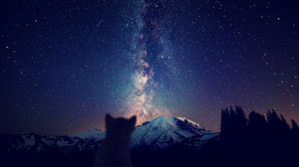 big_26532b1c777c70824b4aa4fa031c4cb5784ab7ce