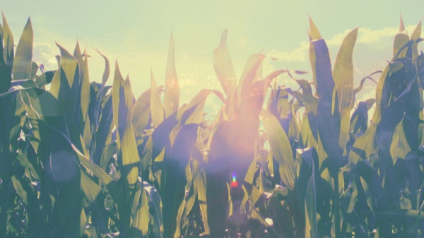 denise-nouvion-wallpaper-1-2560x1440