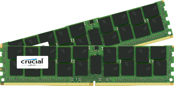 Foto che mostra due Crucial DDR4 Server Memory 
