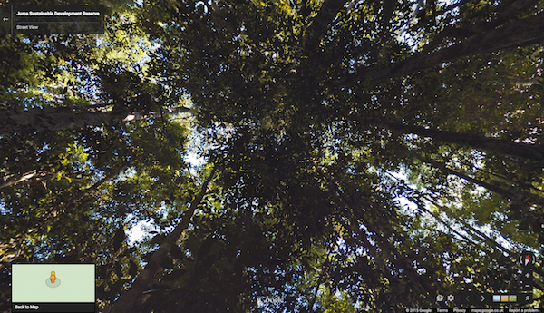 Immagine della Foresta Amazzonica vista da Google Street View