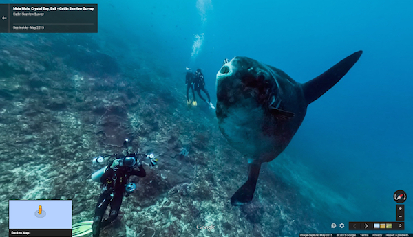 Screenshot delle nuove foto panoramiche degli oceani su Street View