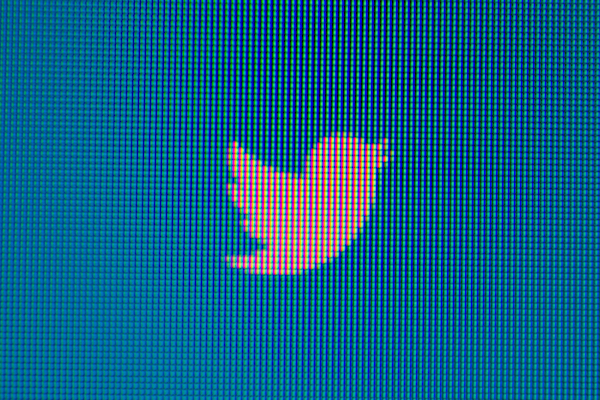 Foto del logo di Twitter